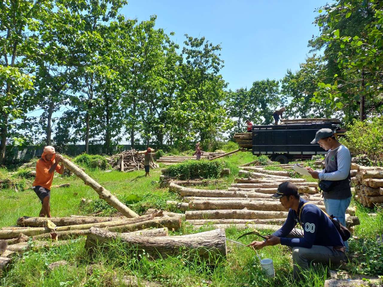 WhatsApp Image 2025-12-05 at 10.59.25