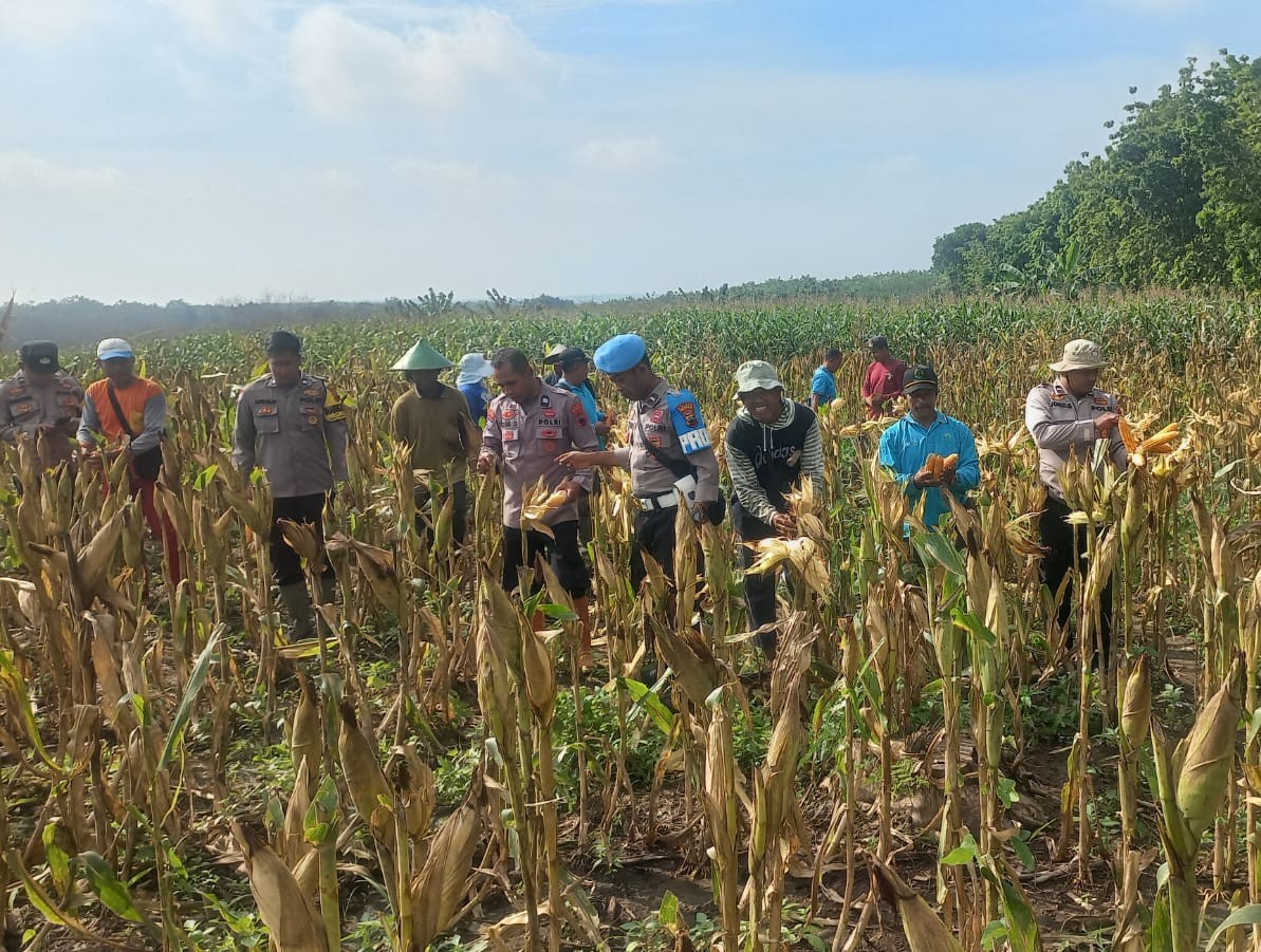 WhatsApp Image 2025-12-07 at 08.33.17