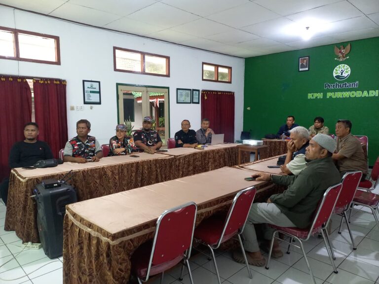 WhatsApp Image 2025-12-07 at 21.27.09