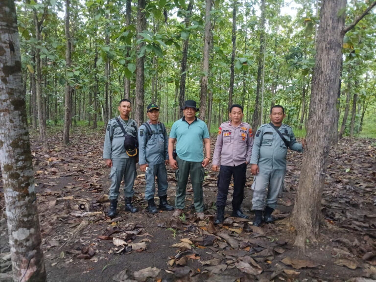 WhatsApp Image 2025-12-08 at 18.52.11(1)