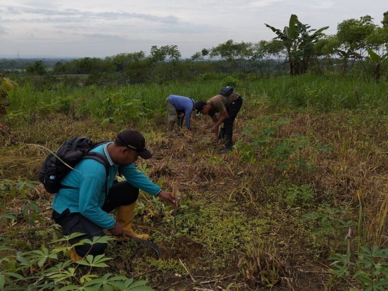 WhatsApp Image 2025-12-09 at 08.45.53