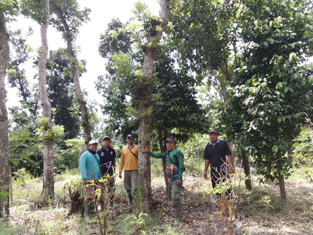 WhatsApp Image 2025-12-10 at 11.04.14(1)