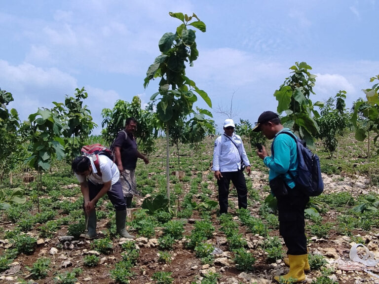 WhatsApp Image 2025-12-10 at 12.46.10(1)