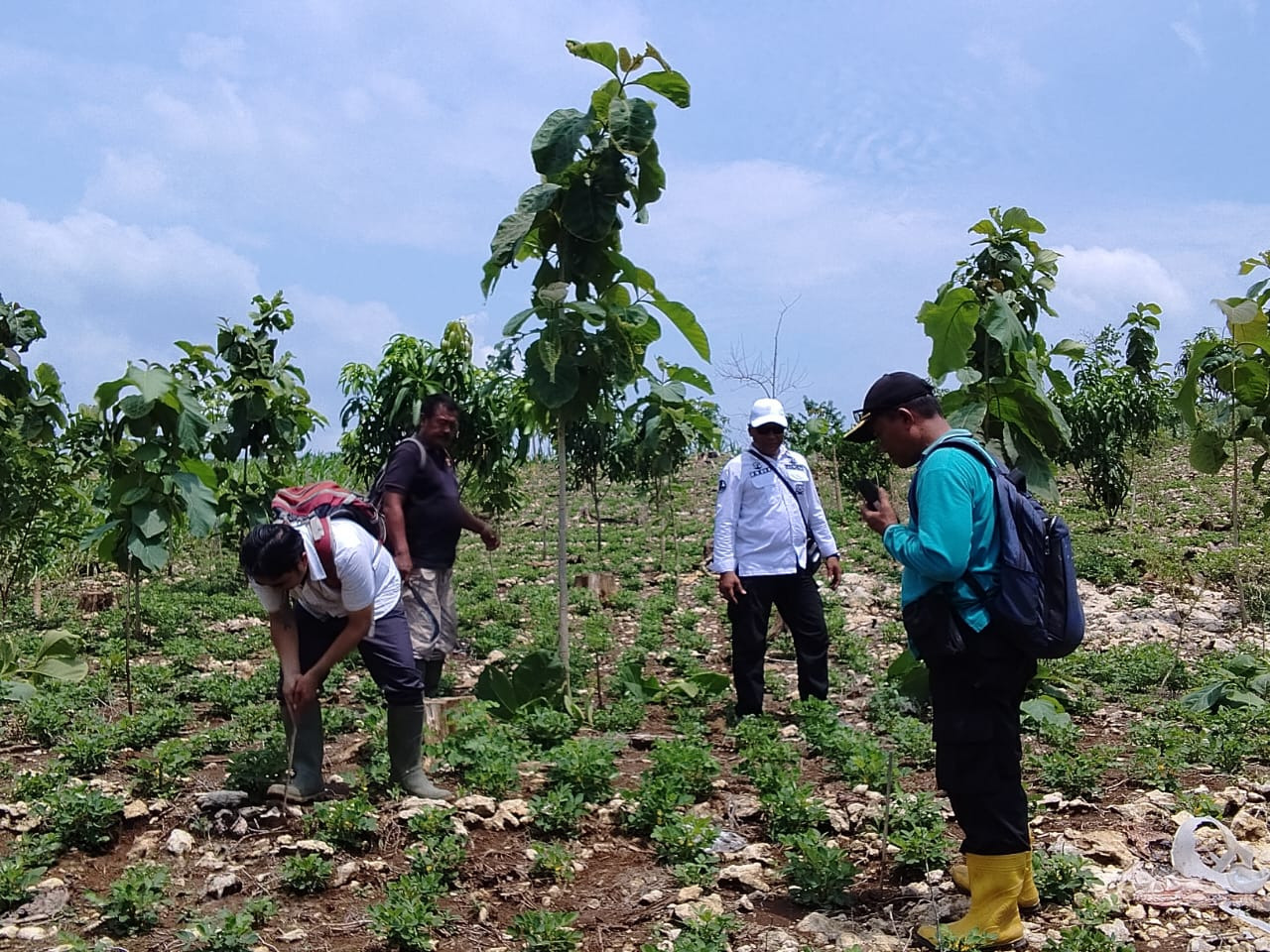 WhatsApp Image 2025-12-10 at 12.46.10(1)