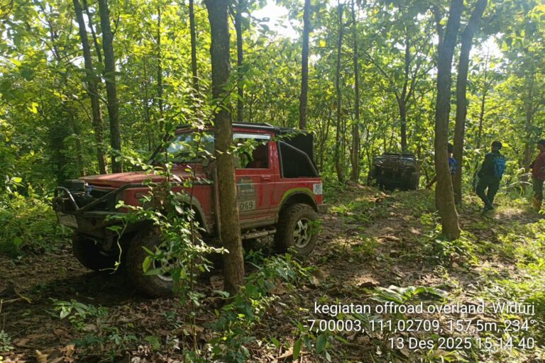 WhatsApp Image 2025-12-13 at 16.59.05(1)