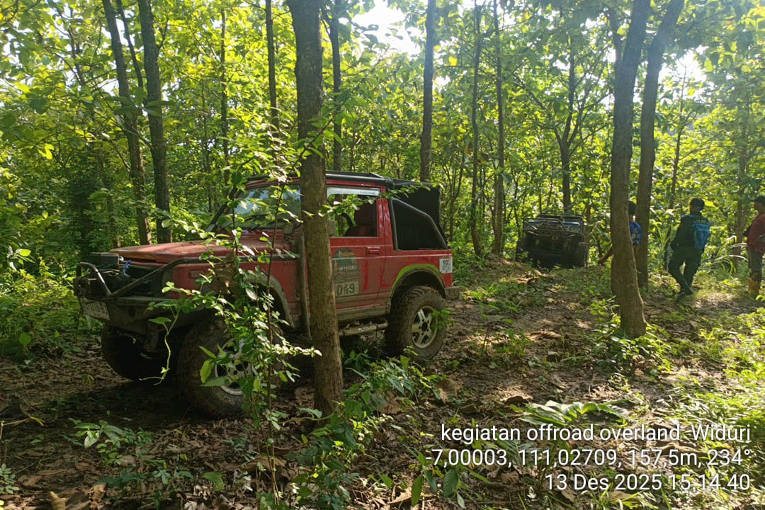 WhatsApp Image 2025-12-13 at 16.59.05(1)