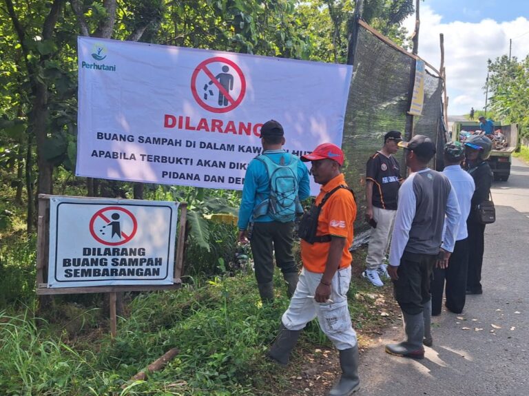 WhatsApp Image 2025-12-17 at 18.06.35