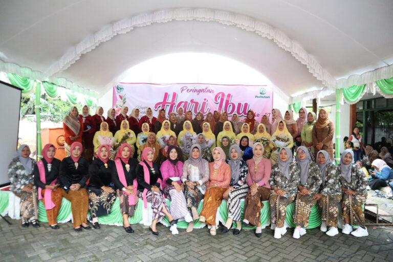 WhatsApp Image 2025-12-22 at 19.15.56