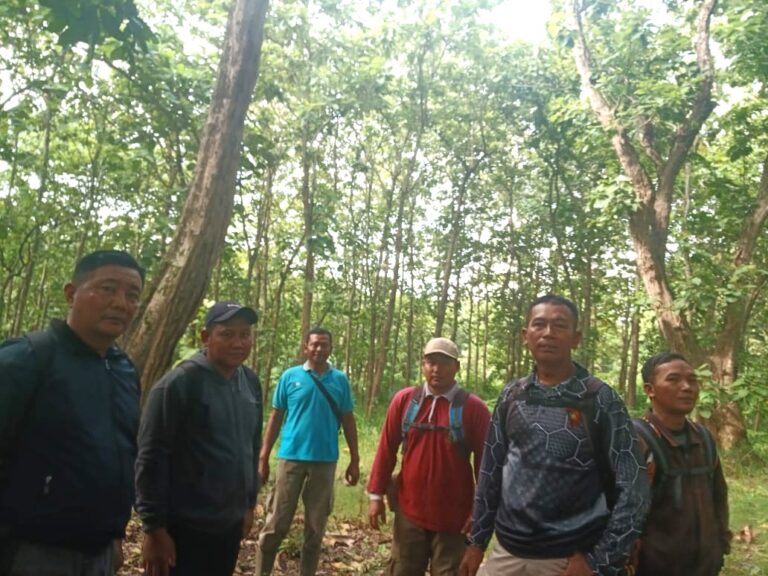 WhatsApp Image 2025-12-23 at 16.42.44(1)(1)