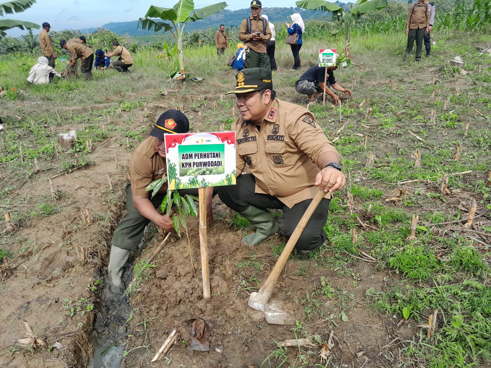 WhatsApp Image 2025-12-24 at 11.52.52