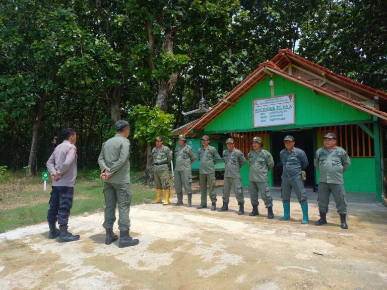 WhatsApp Image 2025-12-25 at 11.59.59(1)