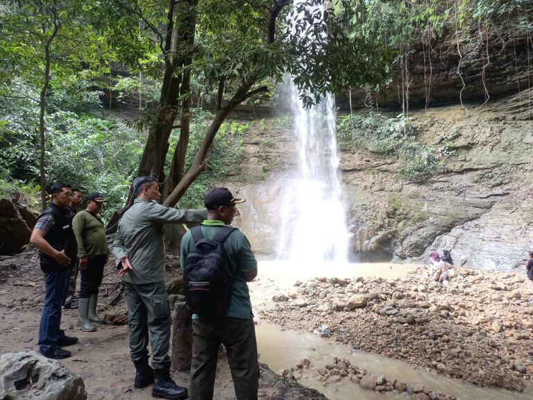 WhatsApp Image 2025-12-25 at 19.42.08