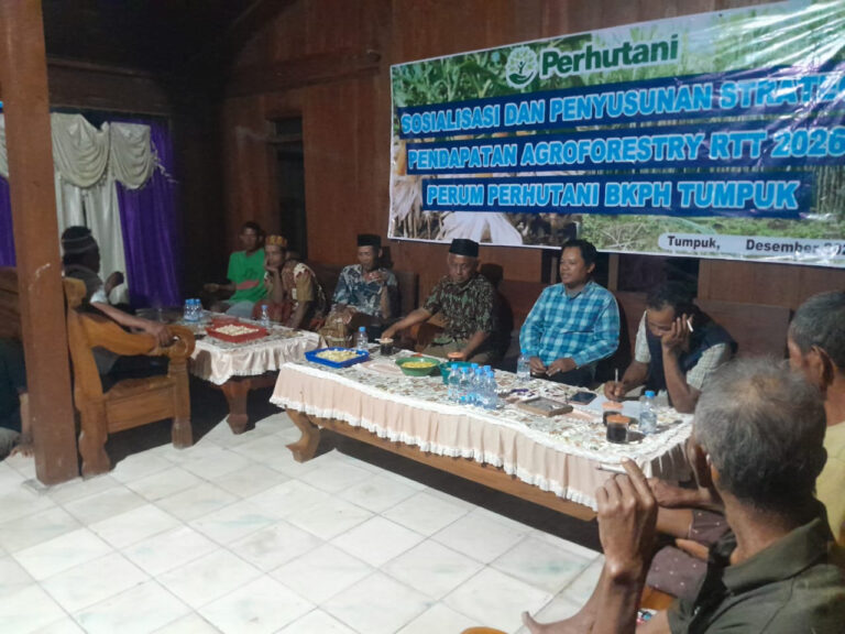 WhatsApp Image 2025-12-26 at 20.06.25(1)