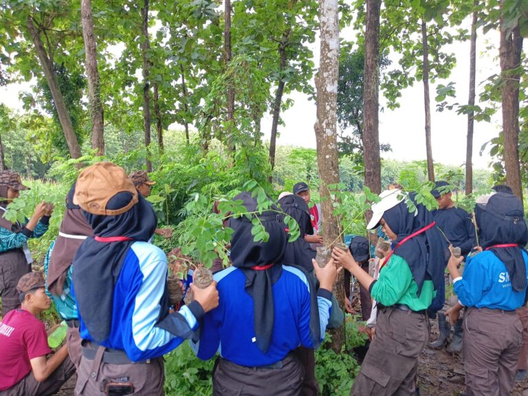 WhatsApp Image 2025-12-27 at 11.49.41