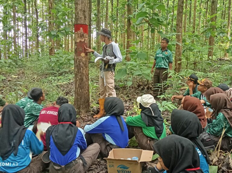 WhatsApp Image 2025-12-27 at 13.15.50