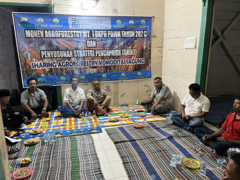 WhatsApp Image 2025-12-27 at 21.19.48(1)