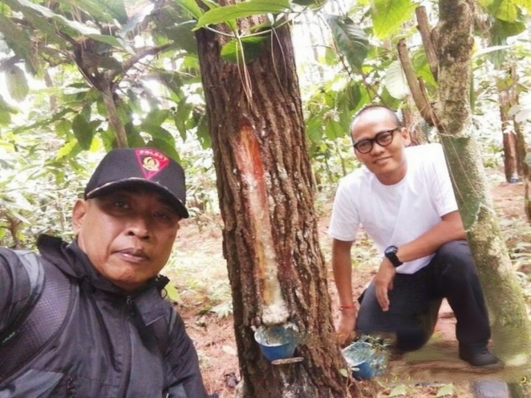 d03f602d-8fc3-42e4-acc7-77d12f3a67a0