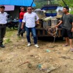 e54e920b-0000-43d3-a286-38bada4c304c