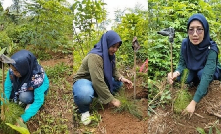 f11f4b0e-cb4b-4611-8b46-0bab9efcedd2