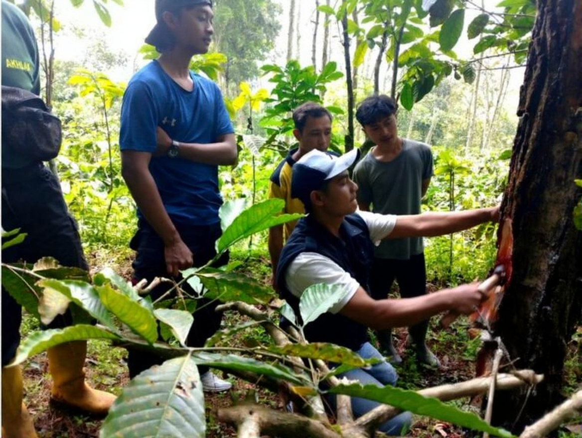 f3cxfmyhtdrmt0cvd1gtstd9j8 (1)