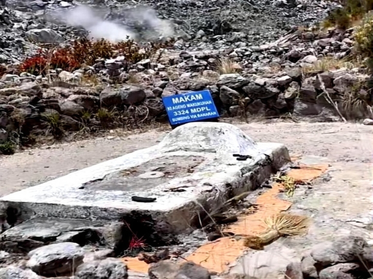 f66a11aa-cbf1-4f44-8b1e-3e691fa03302