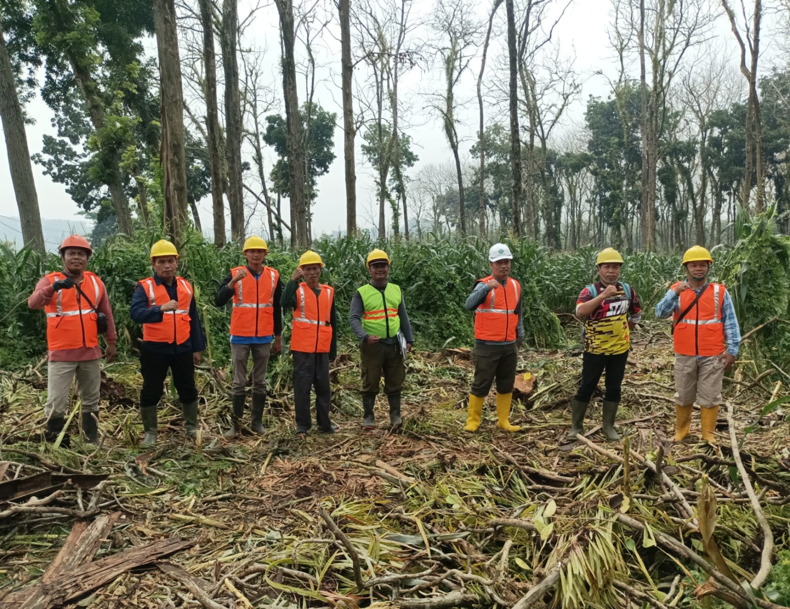 wmremove-transformed(10)