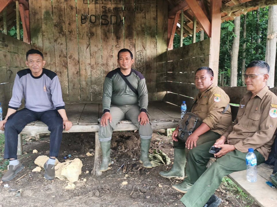 wmremove-transformed(13)