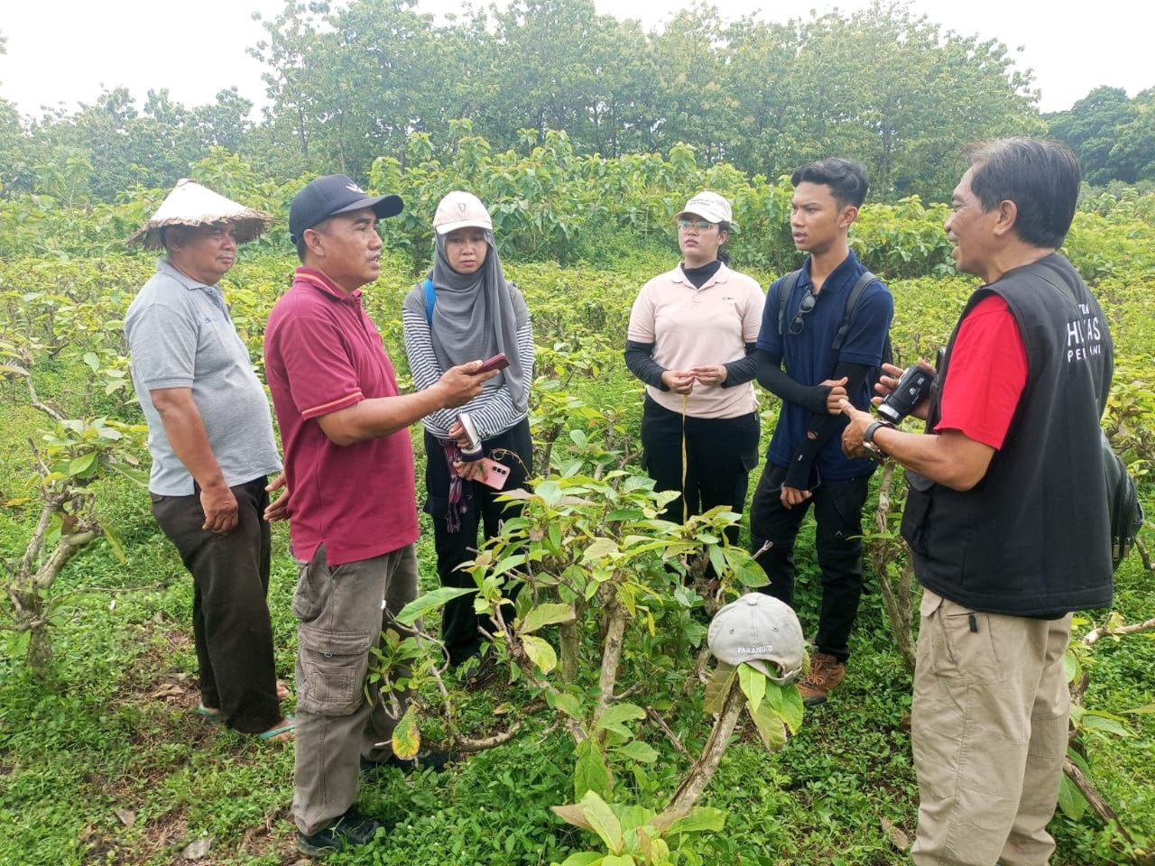 wmremove-transformed(15)