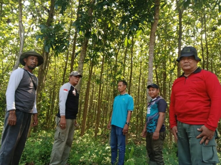 wmremove-transformed(16)