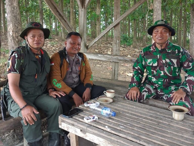 wmremove-transformed(5)