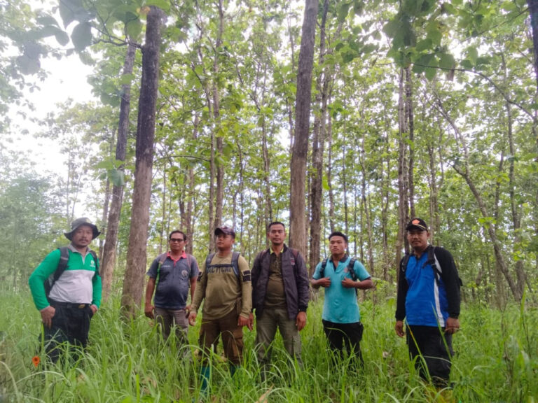 wmremove-transformed(6)(1)