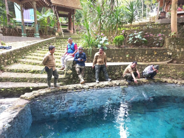 wmremove-transformed(9)