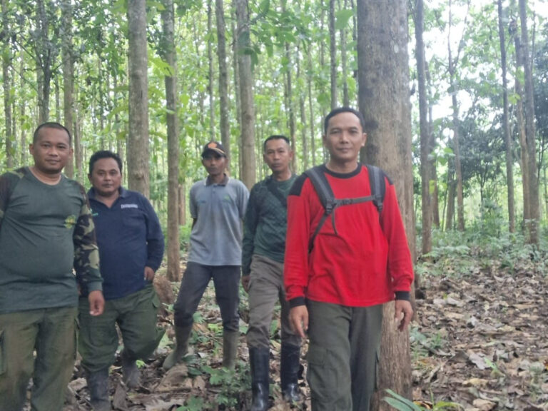 WhatsApp Image 2026-01-22 at 13.36.10(1)