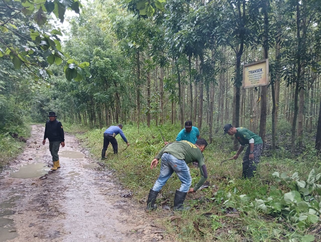 WhatsApp Image 2026-01-23 at 09.47.27