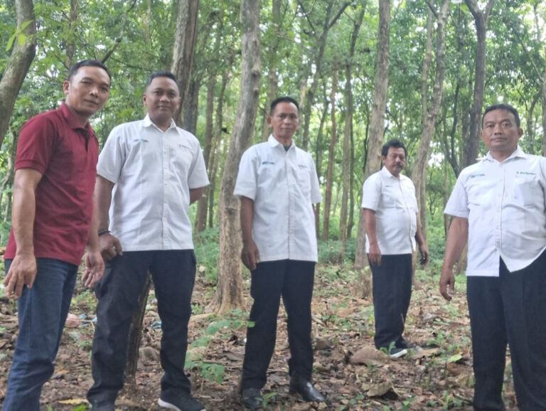 WhatsApp Image 2026-01-26 at 11.56.20(1)