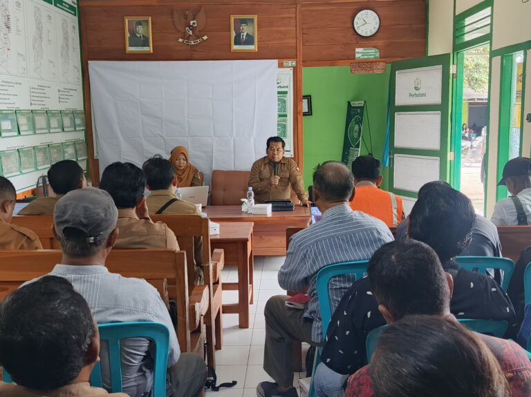 WhatsApp Image 2026-01-27 at 11.41.20