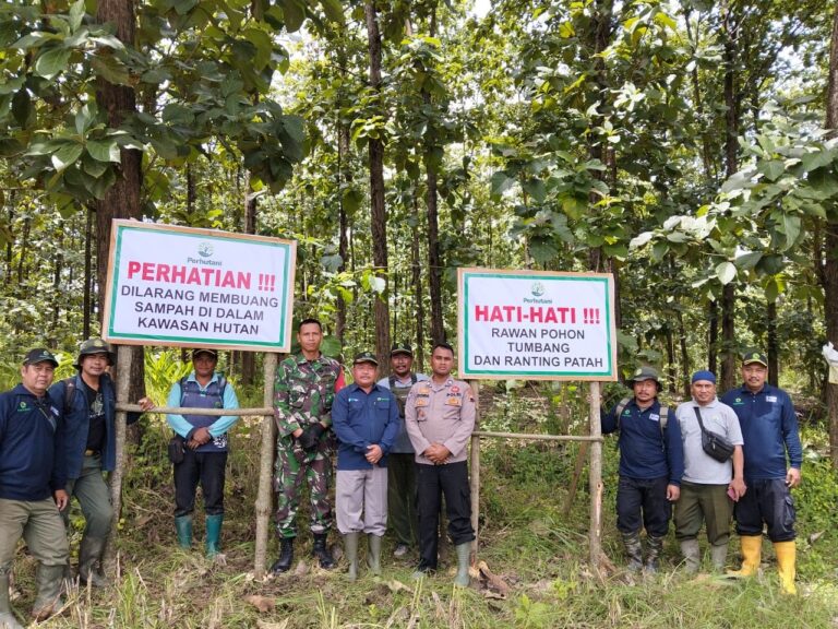 WhatsApp Image 2026-01-28 at 11.39.23