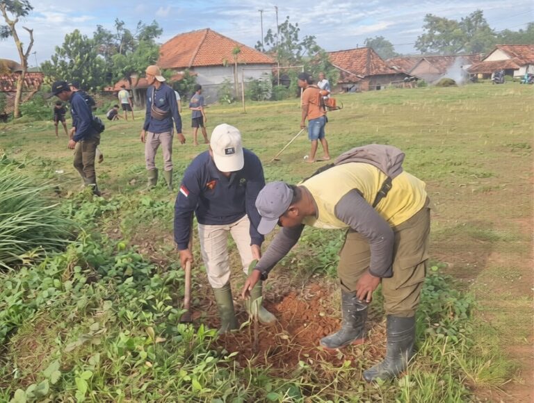 aebcea19-d1b1-4565-945d-323403c18255_0