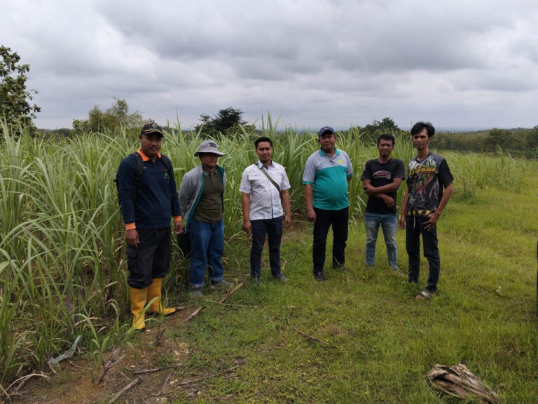 WhatsApp Image 2026-02-23 at 12.40.48(1)(1)