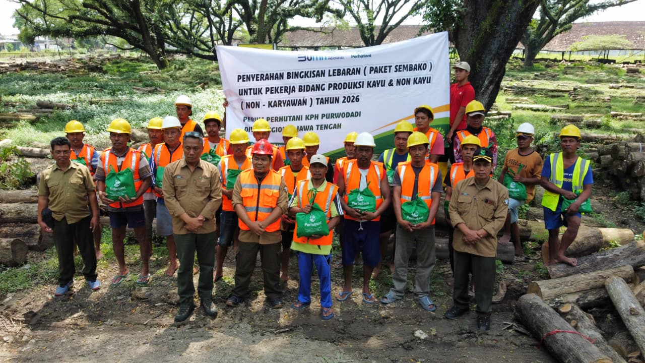 WhatsApp Image 2026-03-10 at 13.52.59