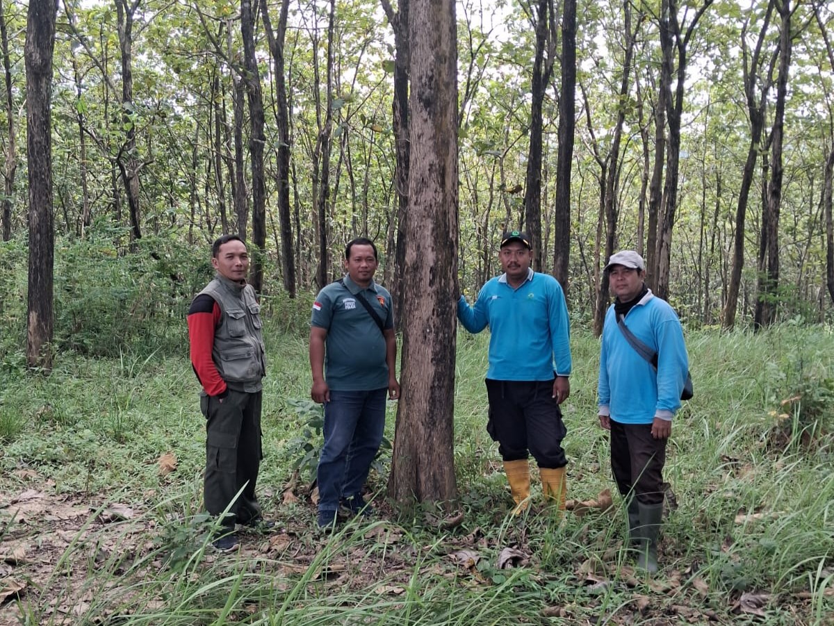 WhatsApp Image 2026-03-11 at 11.30.08