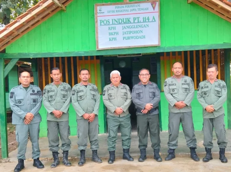 WhatsApp Image 2026-03-25 at 13.25.02