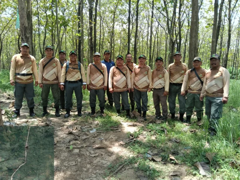 WhatsApp Image 2026-03-28 at 12.36.01(1)