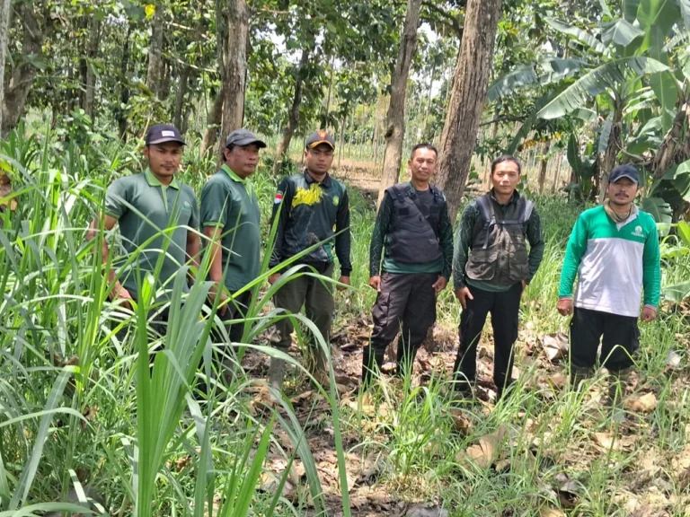 WhatsApp Image 2026-03-28 at 13.25.41(1)