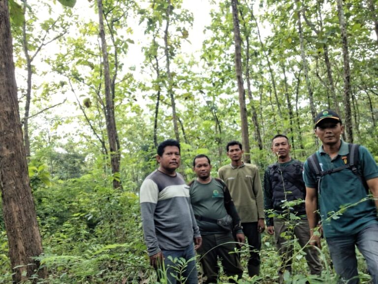 wmremove-transformed(29)