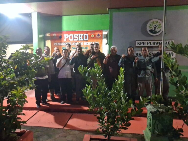 wmremove-transformed(30)