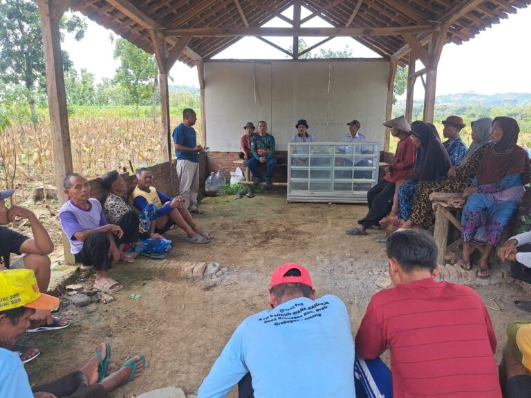 wmremove-transformed(31)