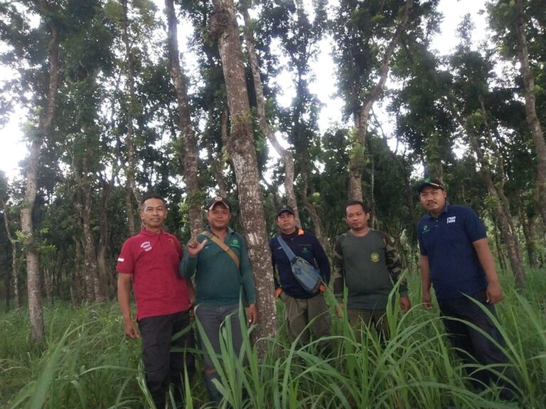 wmremove-transformed(39)