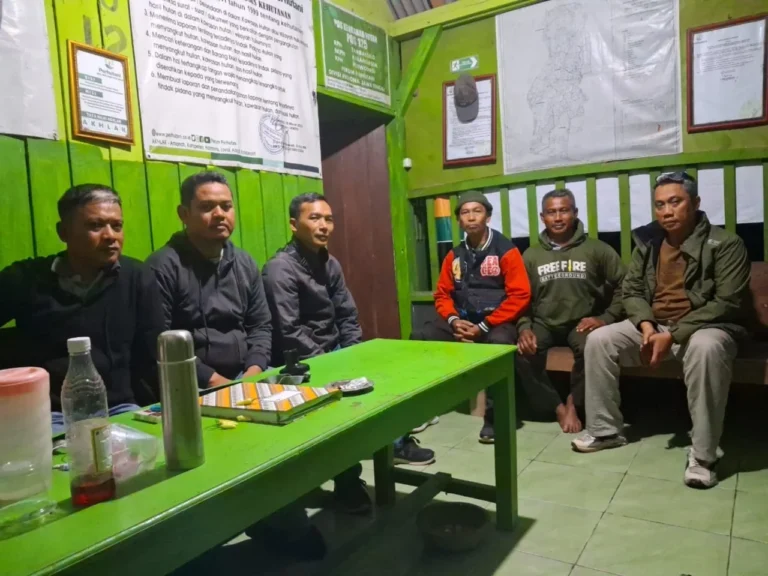 wmremove-transformed(40)