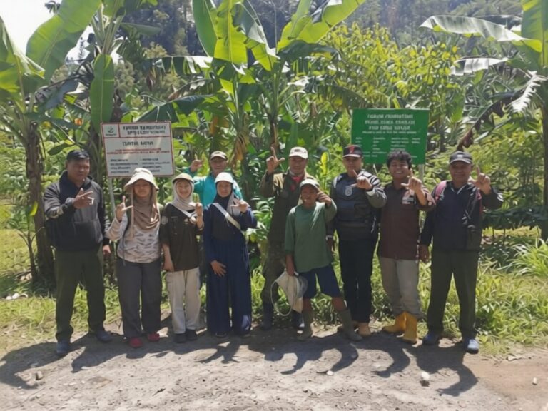 kedu utara temanggung